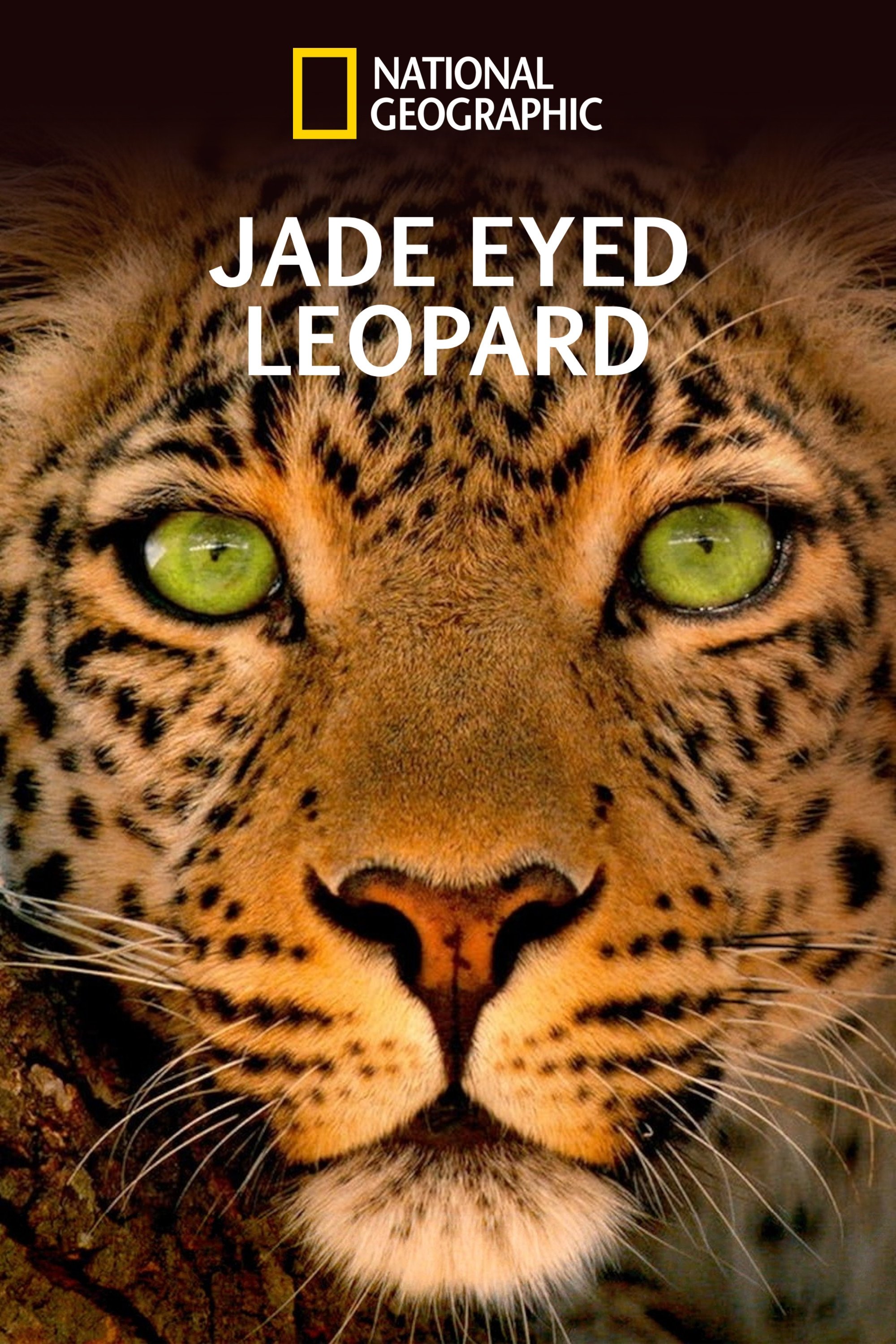 Jade Eyed Leopard
