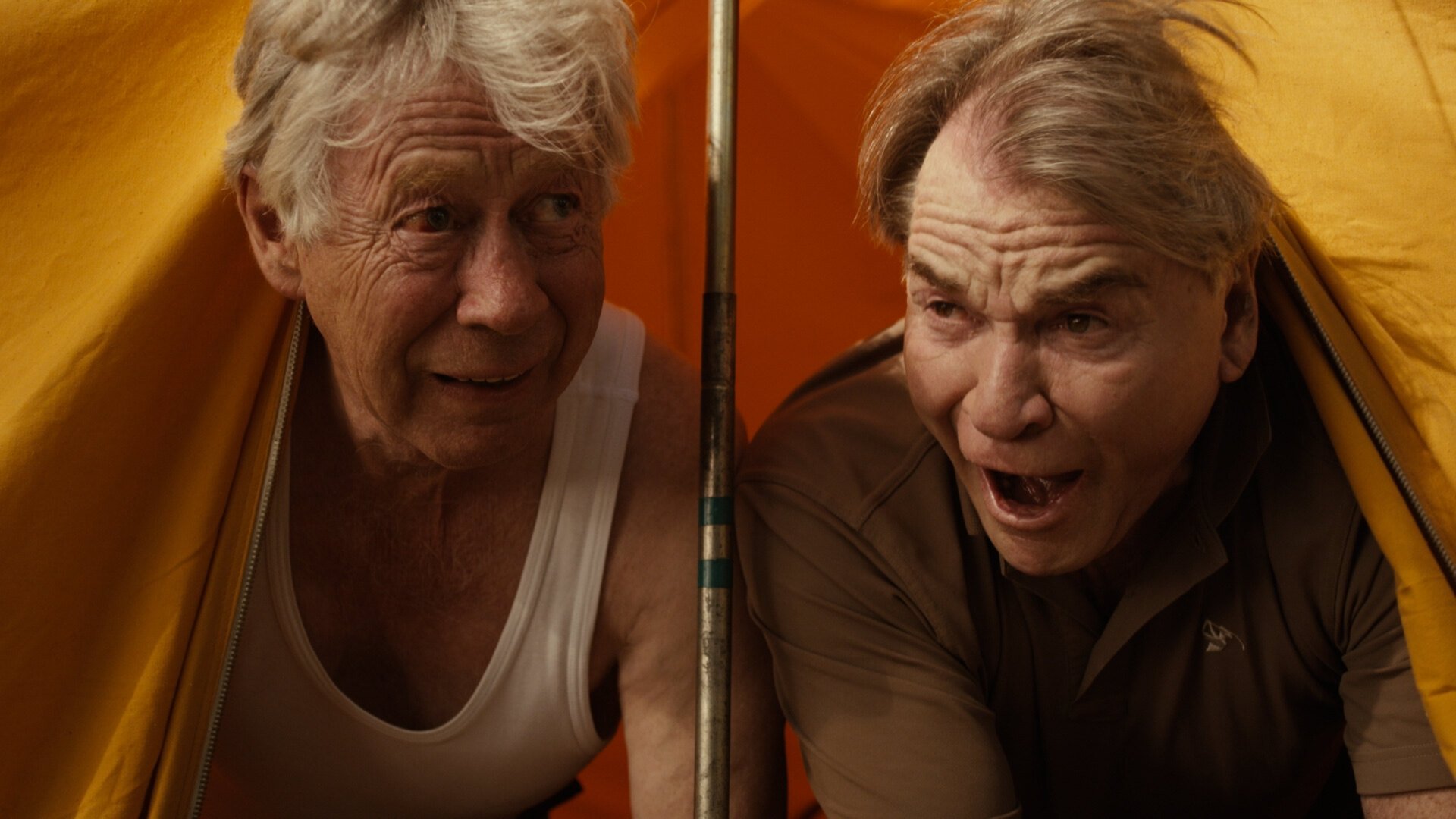 Gamle Venner (2014)