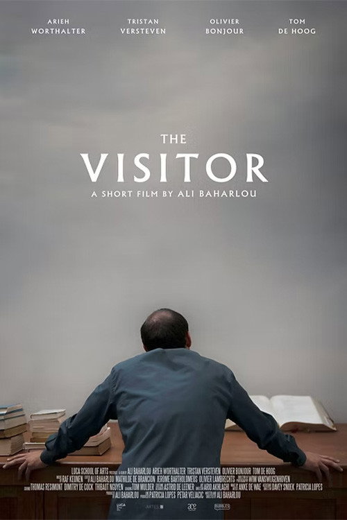 The Visitor