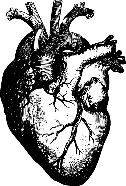 Element e Filmproduktion