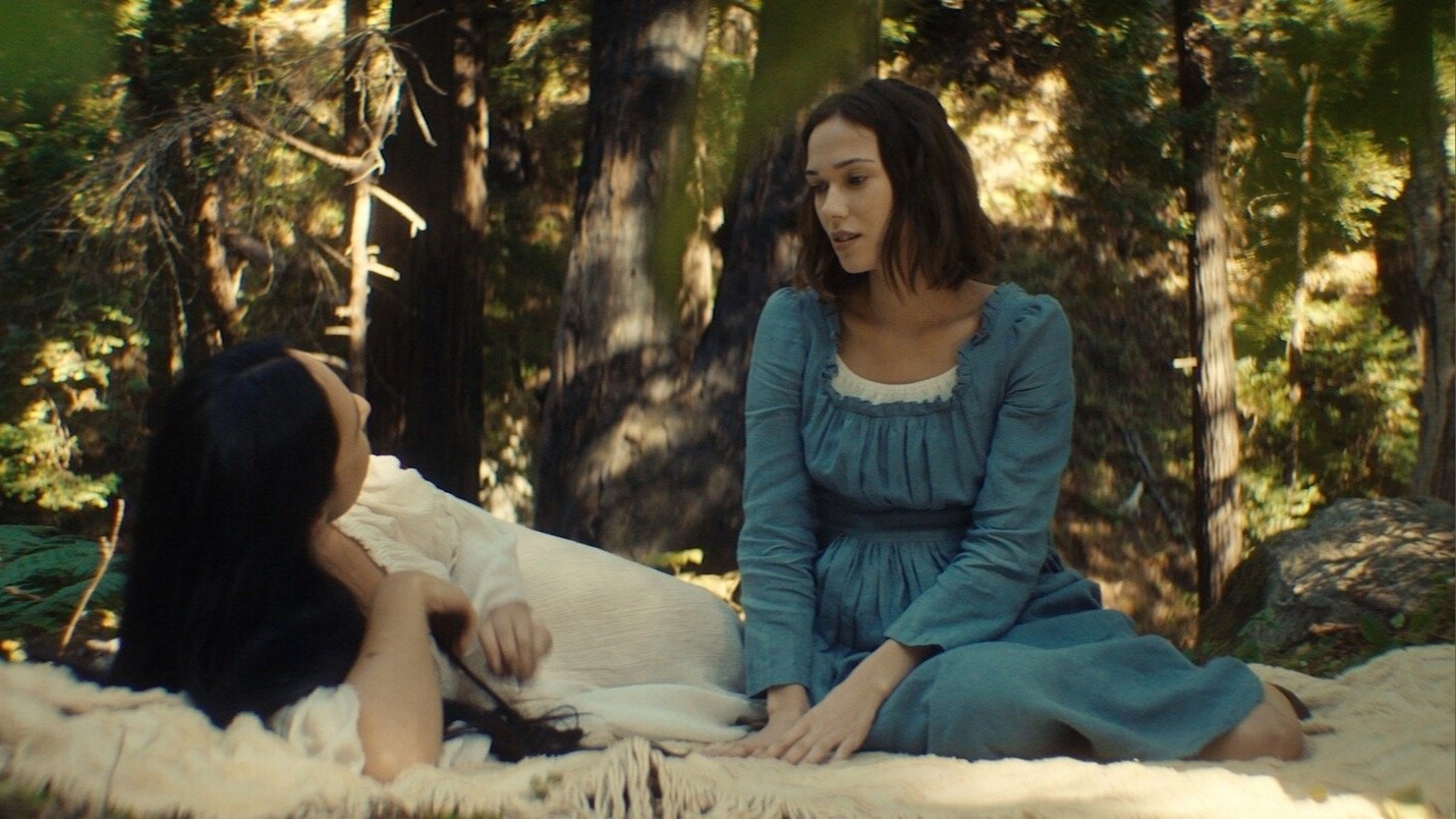 Into the Thicket (2023)