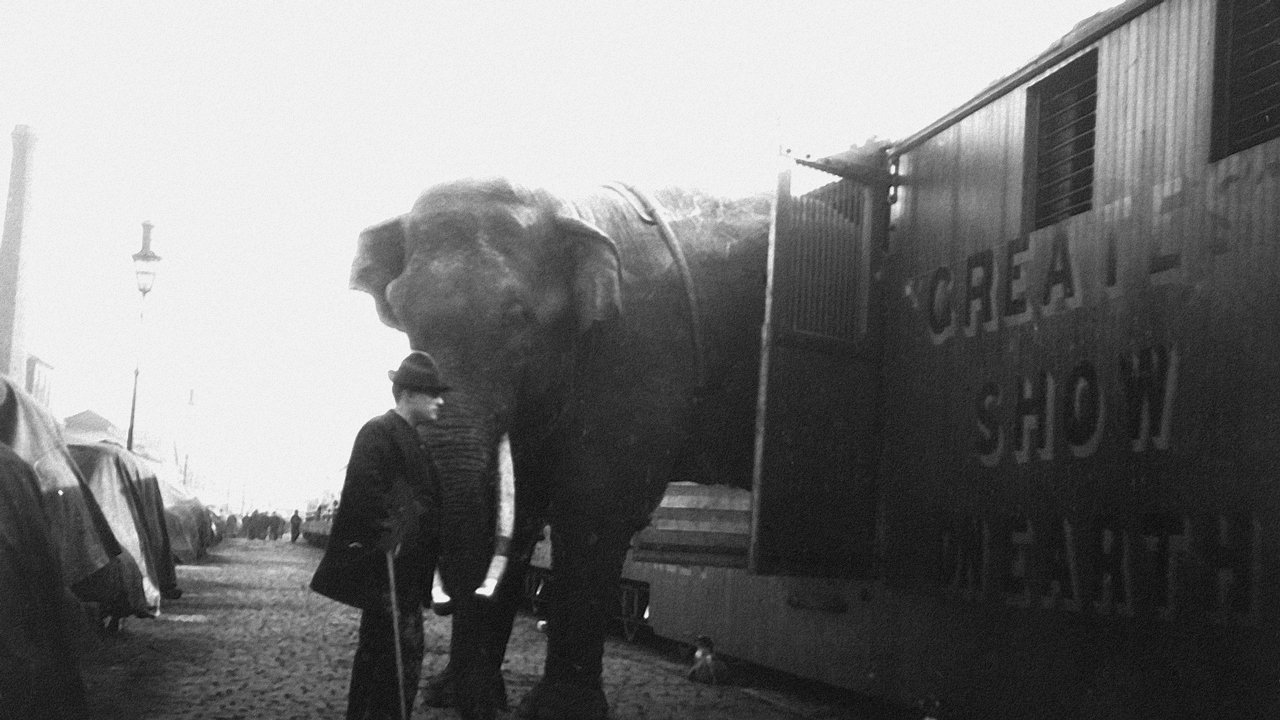 The Tragic Story of Fritz the Elephant (2023)
