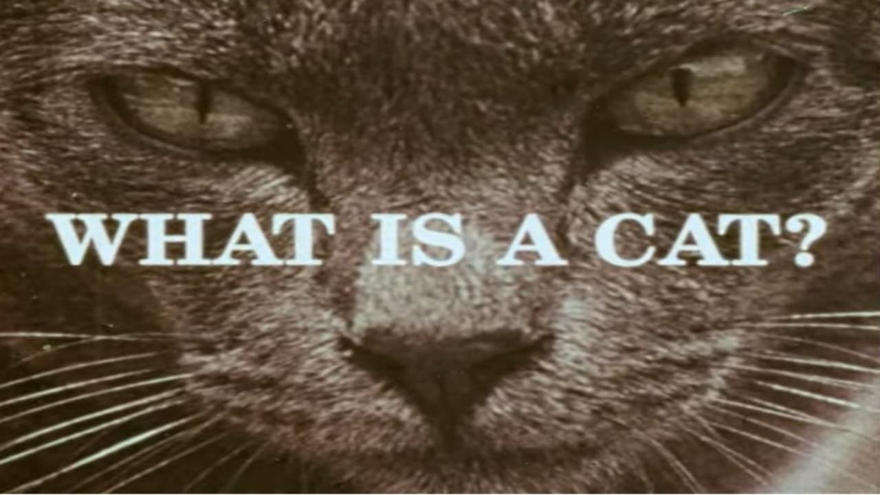 What Is a Cat? (1972)