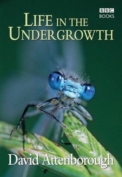 Life in the Undergrowth - Season 1