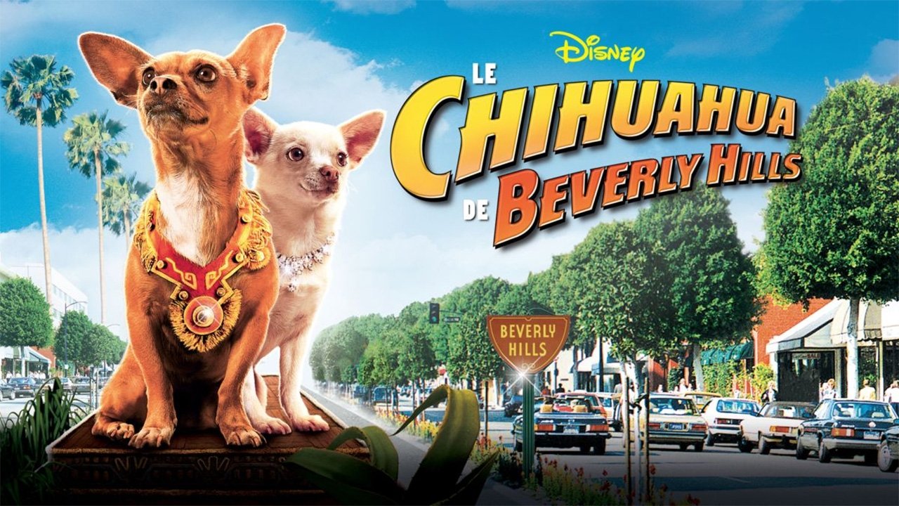 Beverly Hills Chihuahua