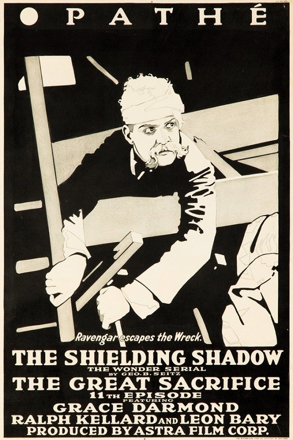 The Shielding Shadow