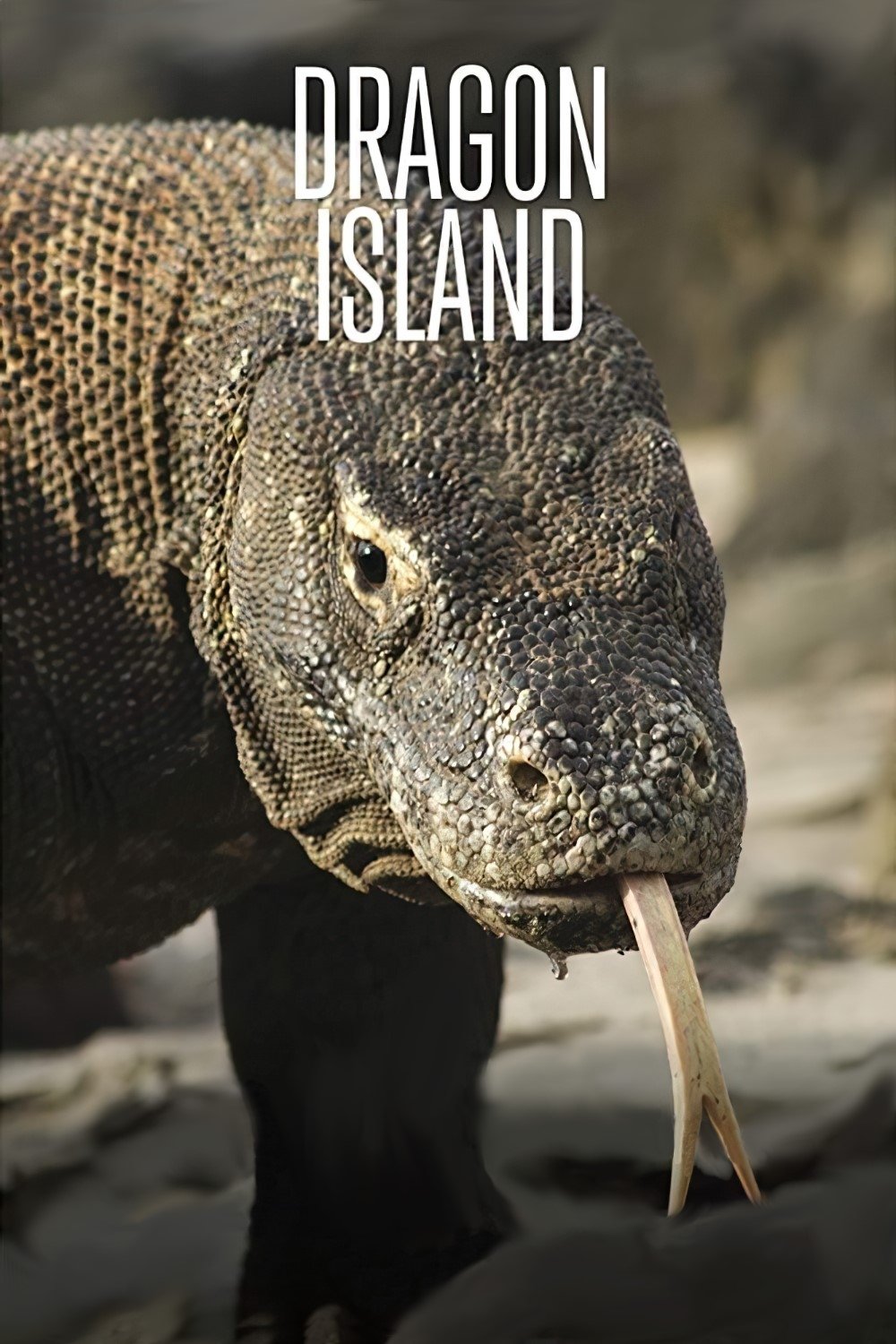 Dragon Island