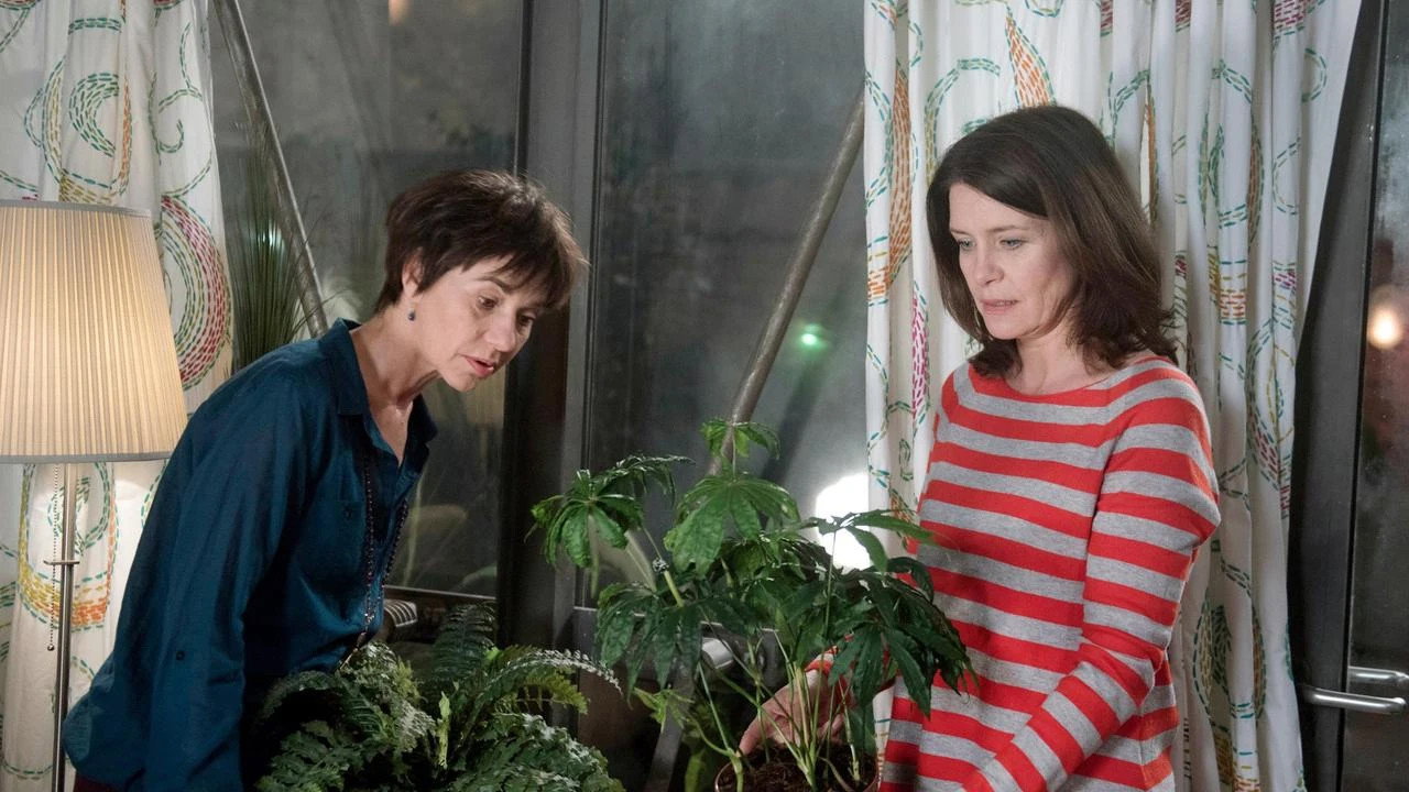 Rote Rosen Season 14 :Episode 48  Episode 2448