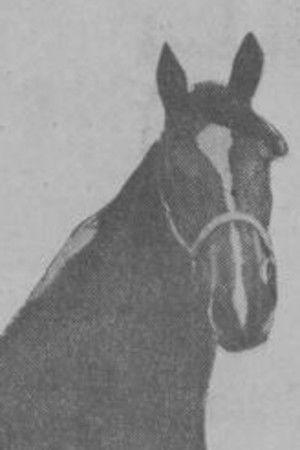 et billede af Fay Scott