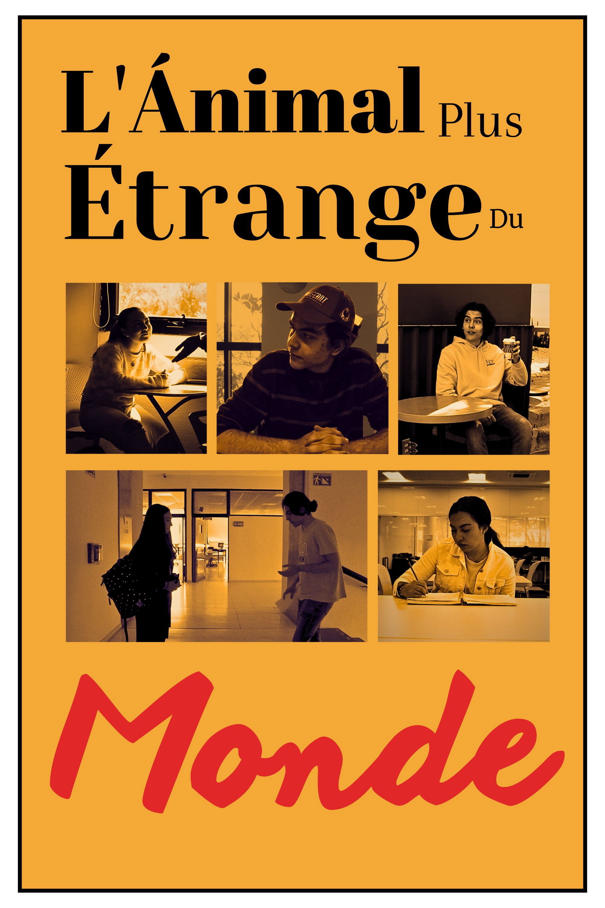 L'&Aacute;nimal Plus &Eacute;trange Du Monde