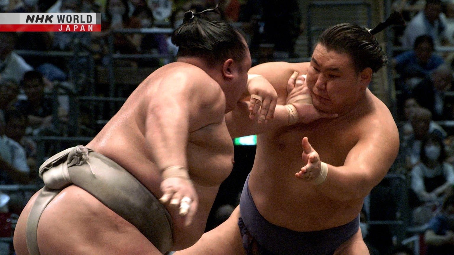 GRAND SUMO Highlights Staffel 18 :Folge 15 