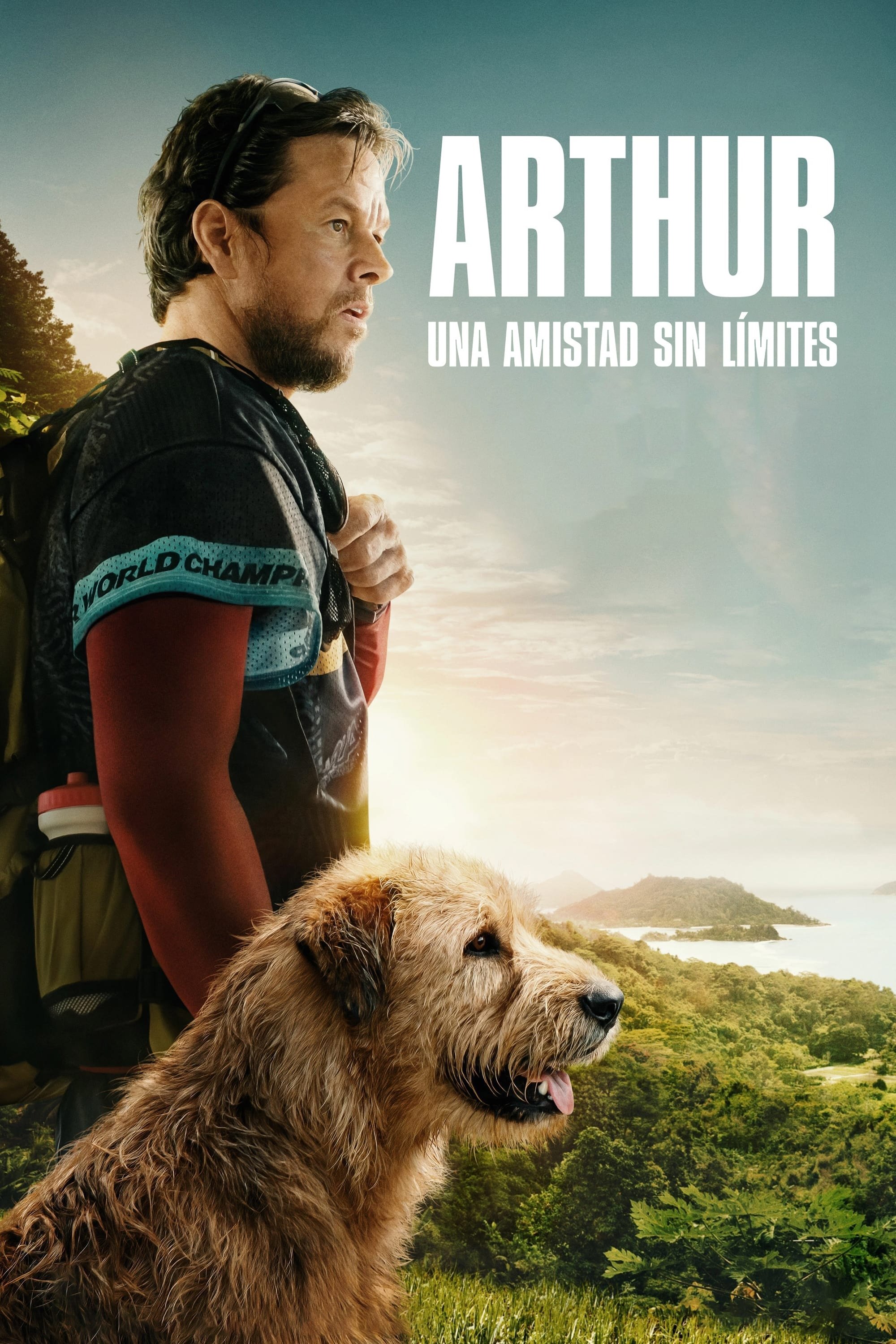 Poster 6