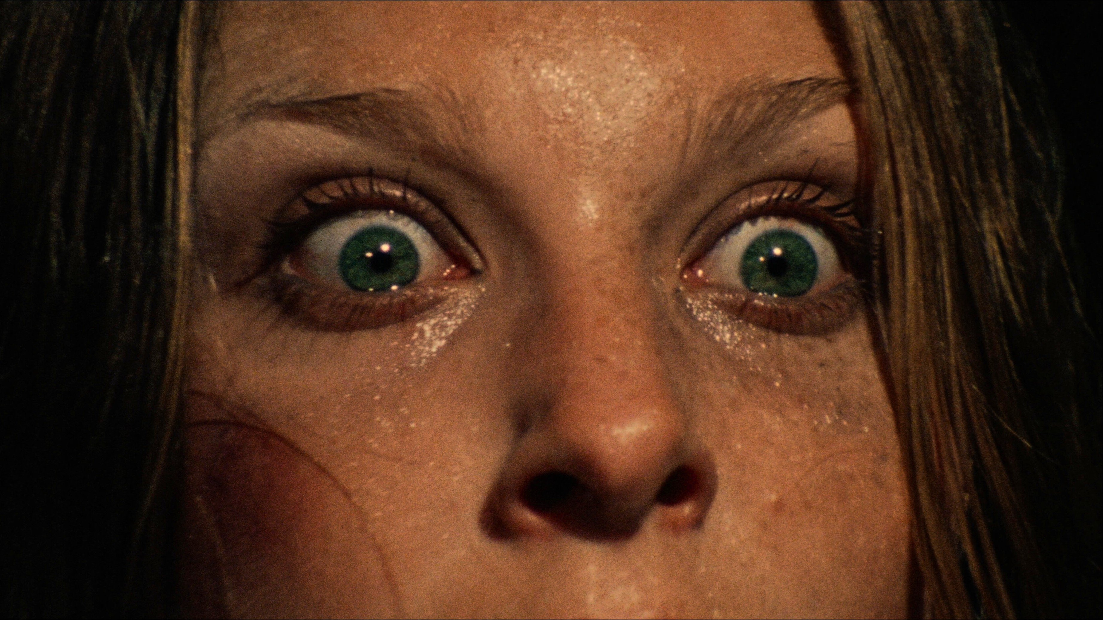 The Texas Chain Saw Massacre