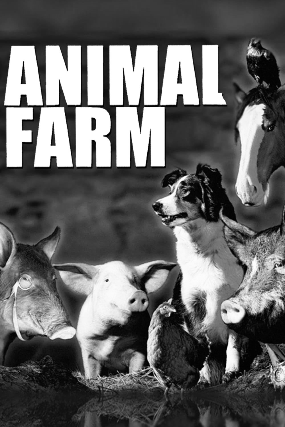 Animal Farm