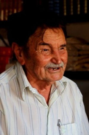 et billede af Seu Tunico