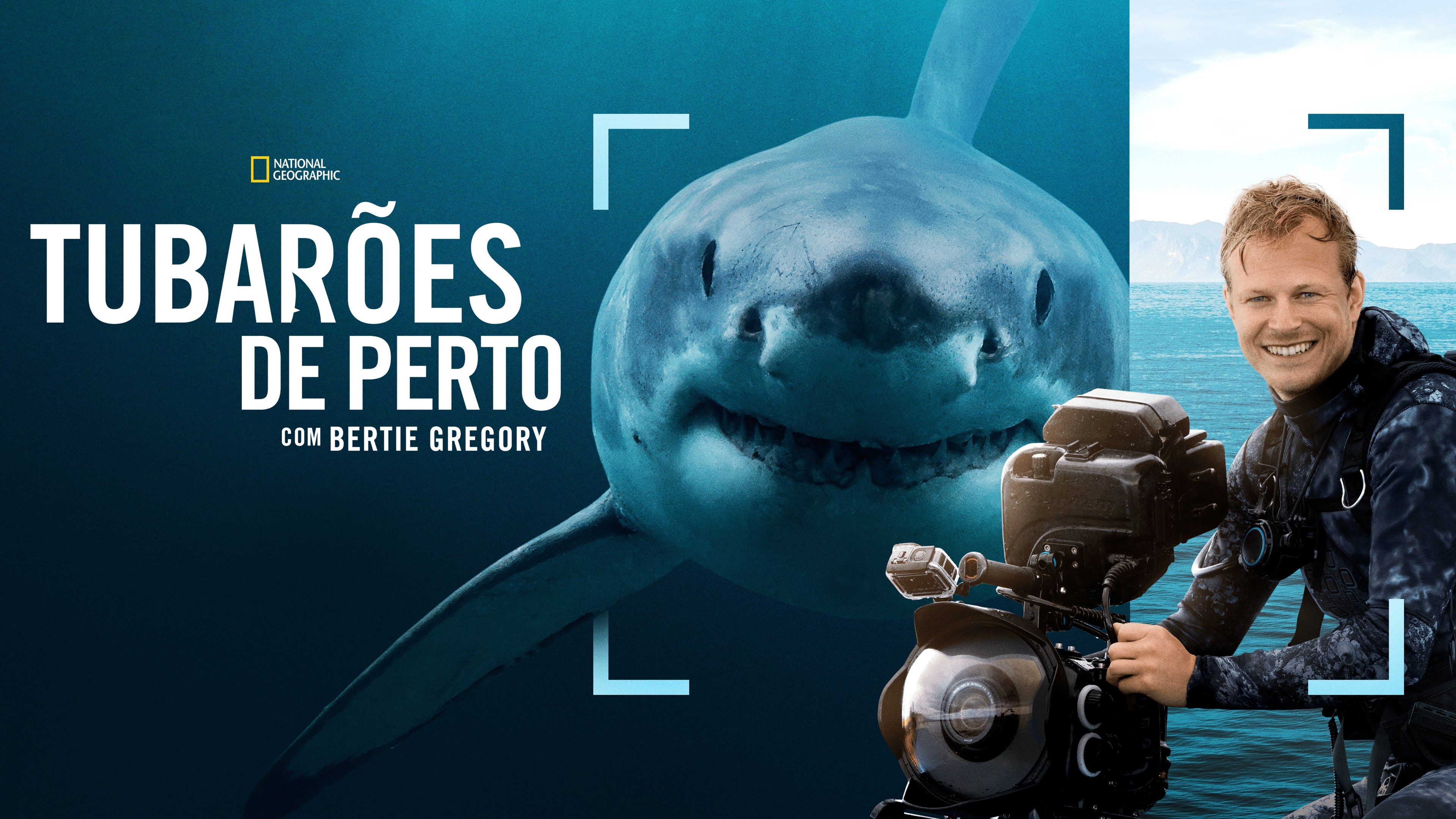 Sharks Up Close with Bertie Gregory backdrop
