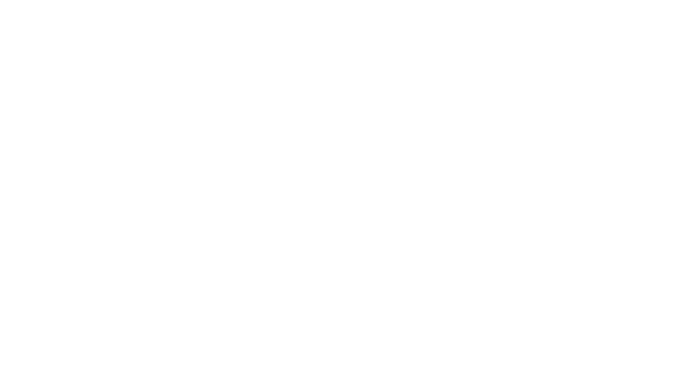Leap Year Logo