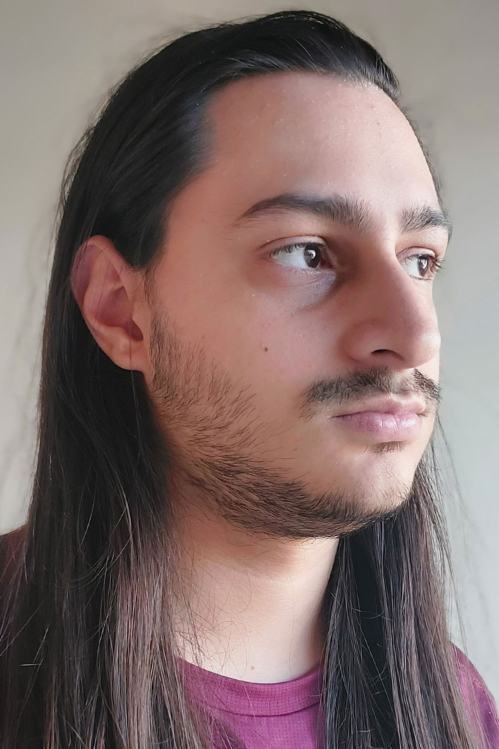 et billede af Giovanni Bressani