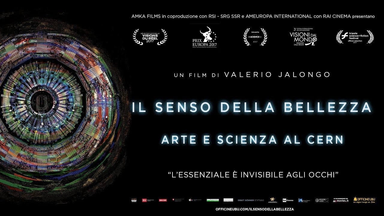 Il senso della bellezza - Arte e scienza al CERN (2017)