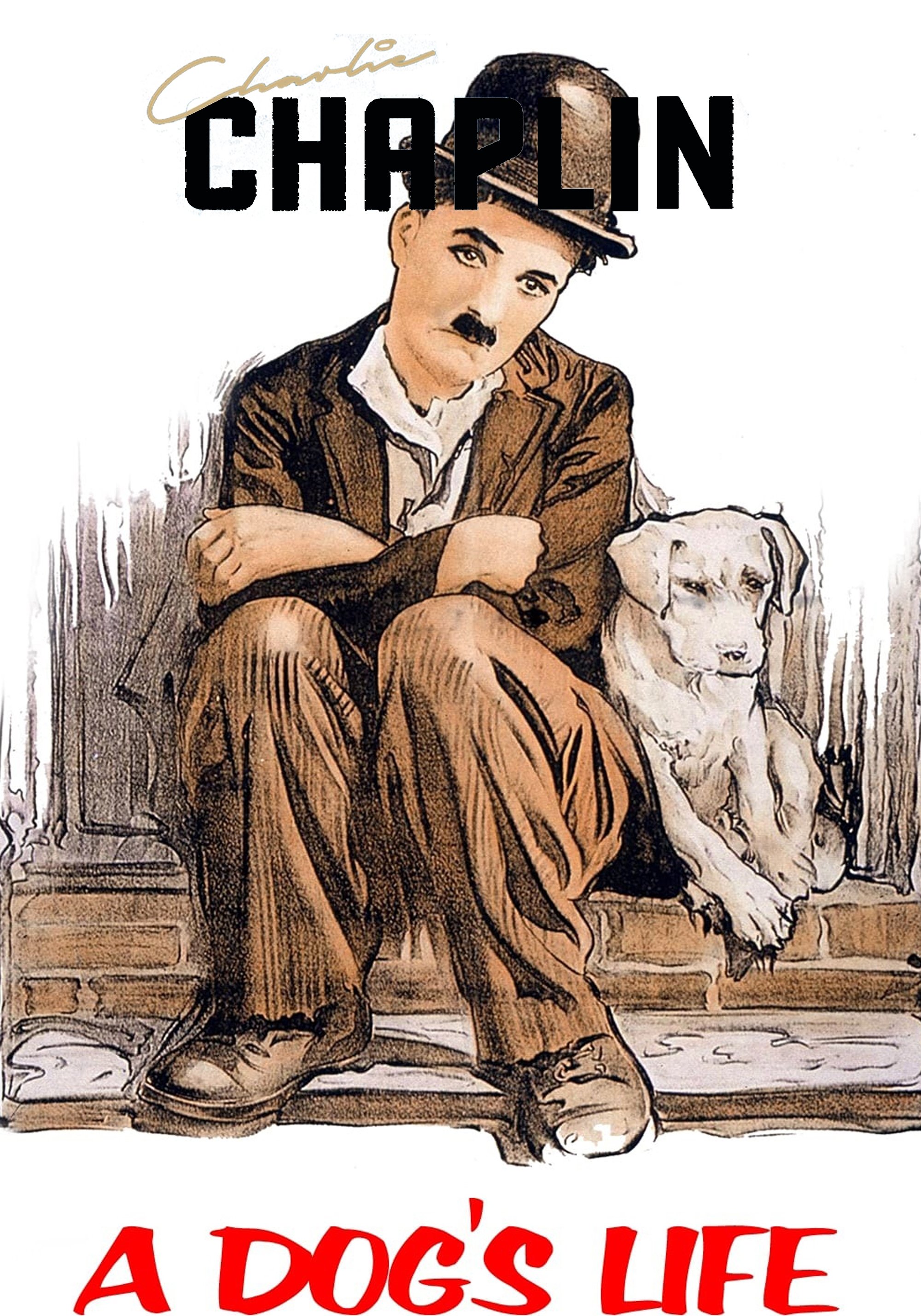 A Dog's Life