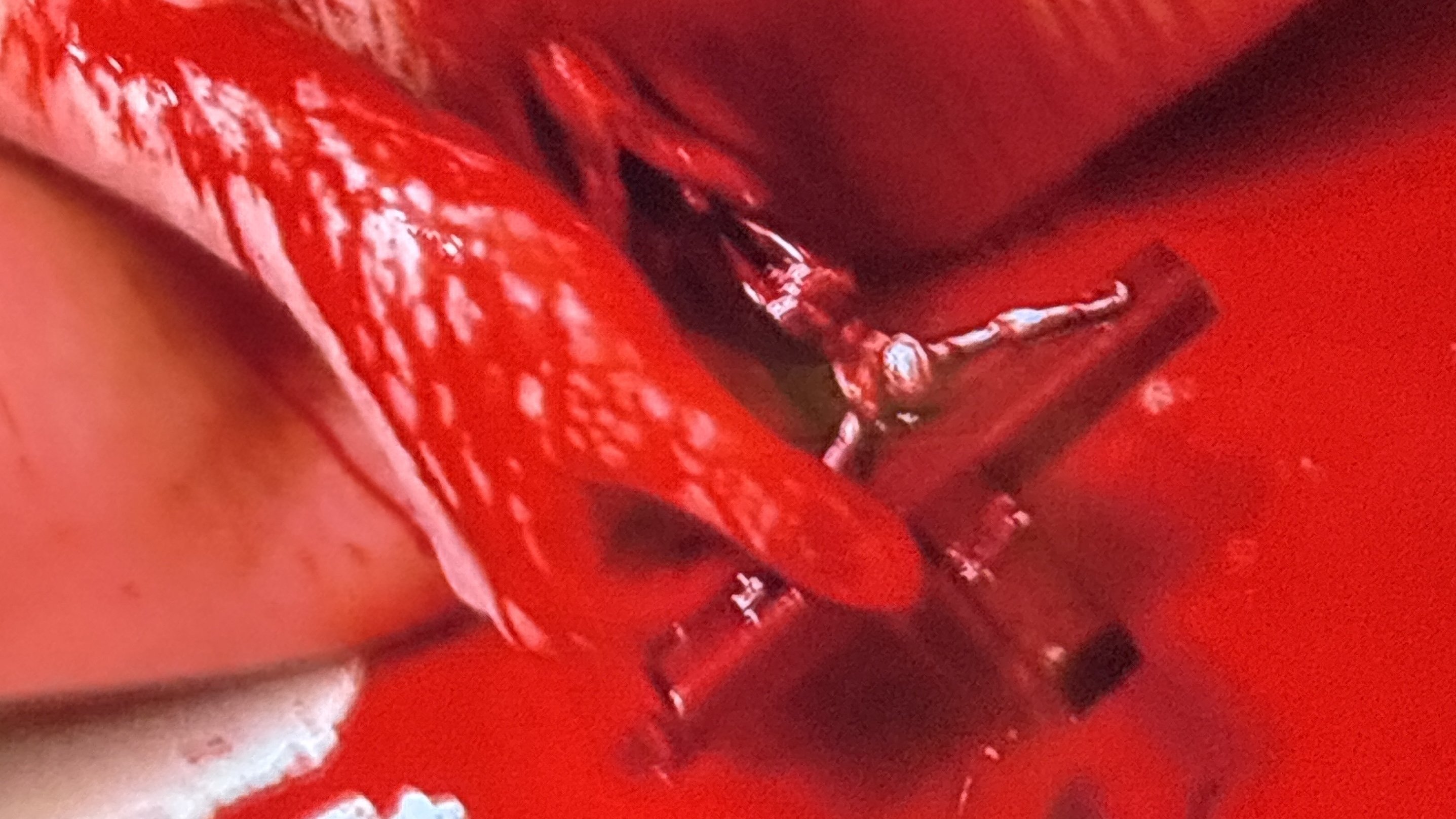 Slow Torture Puke Chamber