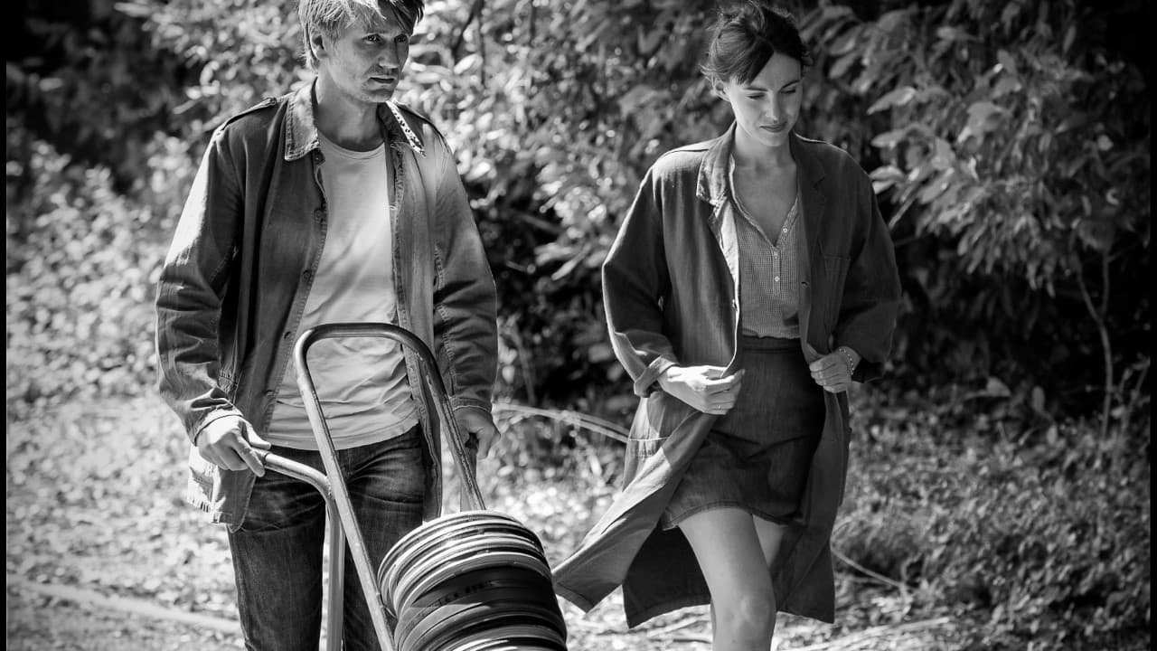 In the Shadow of Women (2015)