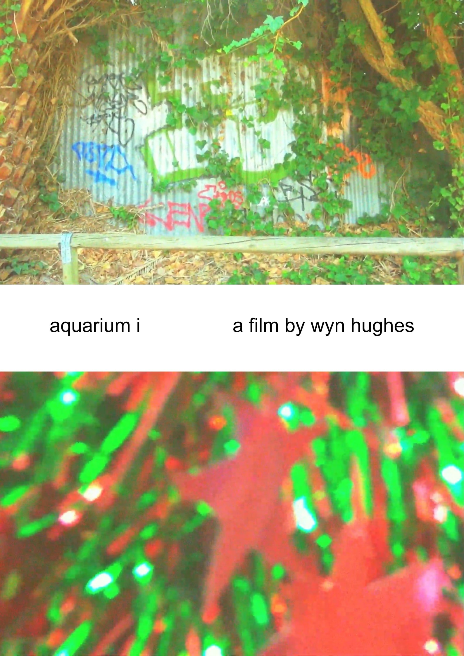 aquarium i