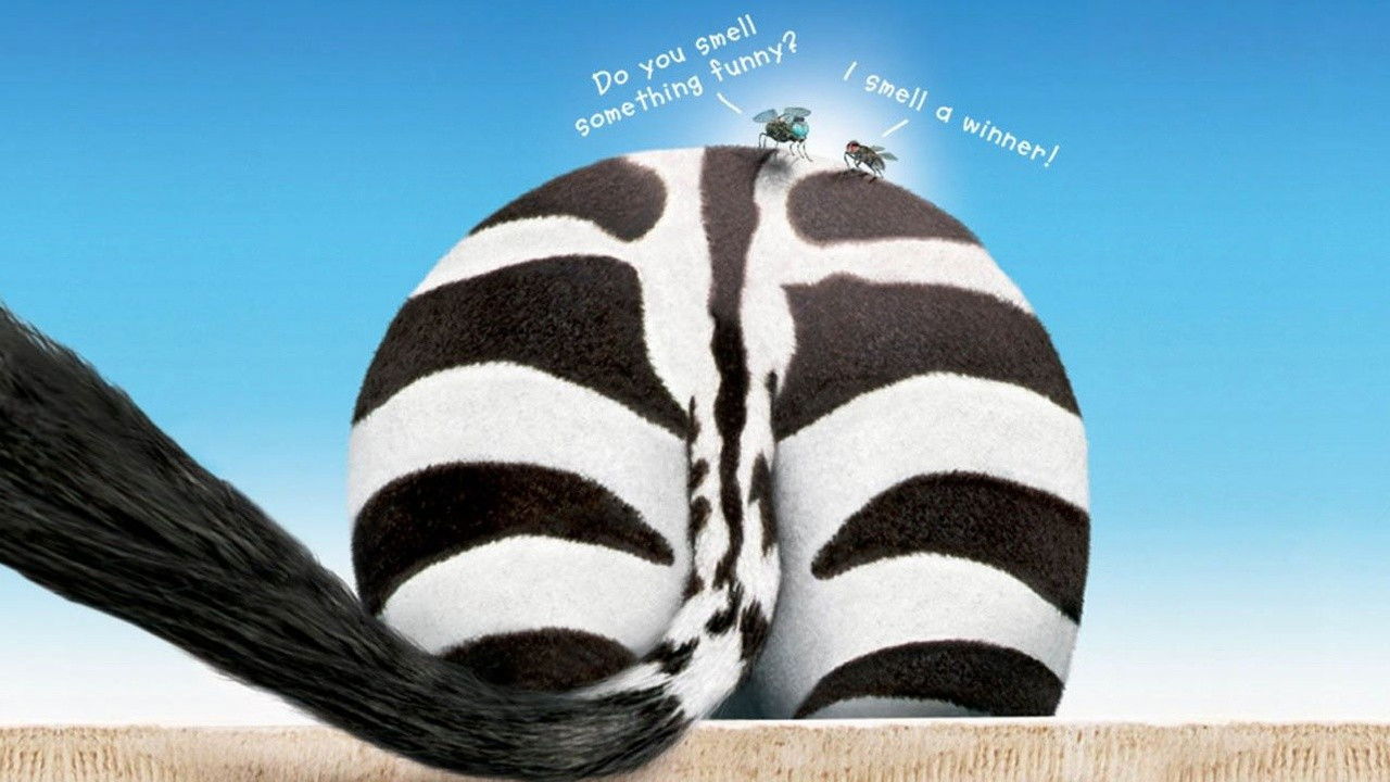 zig zag létalon zébré vf zig zag létalon zébré vf