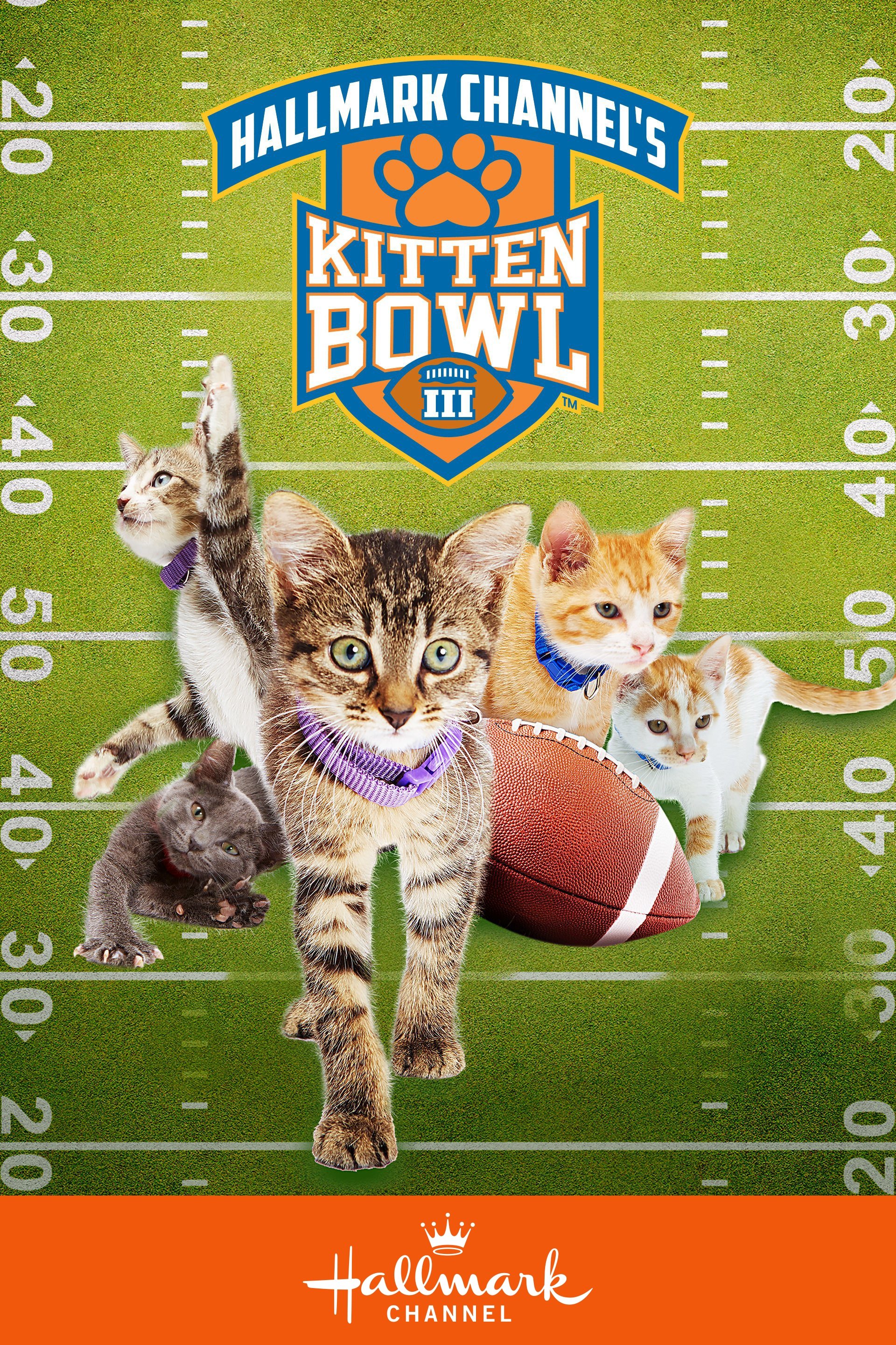 Kitten Bowl III (2016) The Poster Database (TPDb)