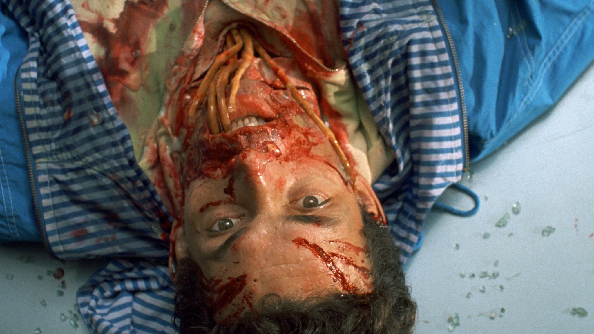 Body Melt (1994)