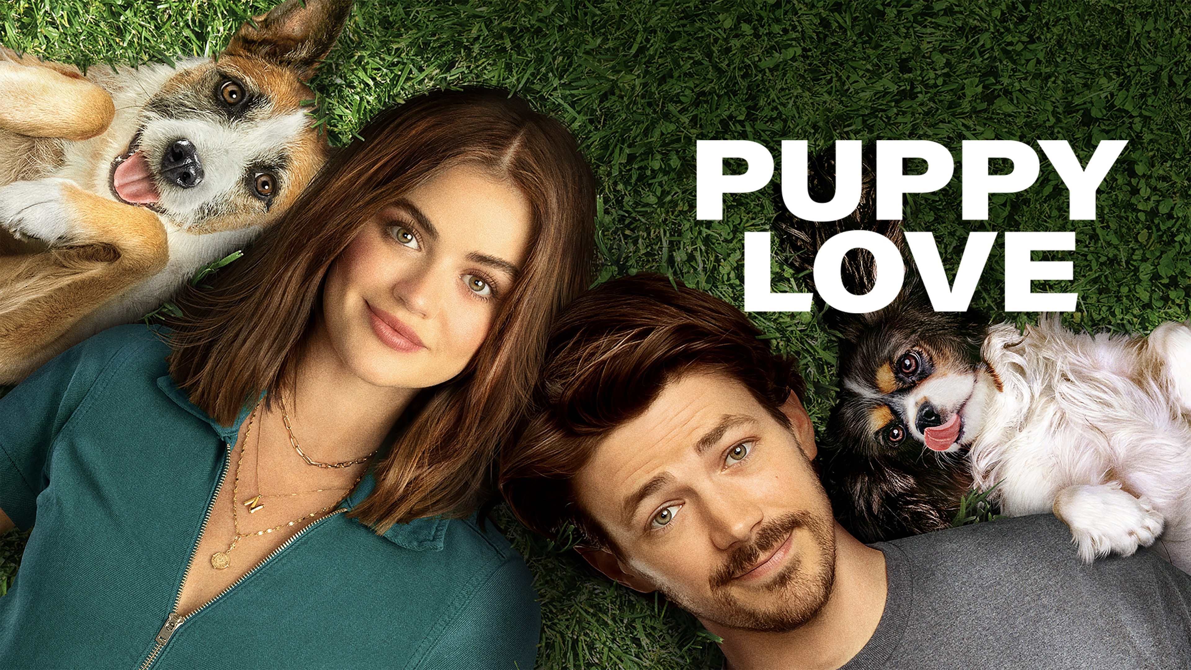 Puppy Love (2023)