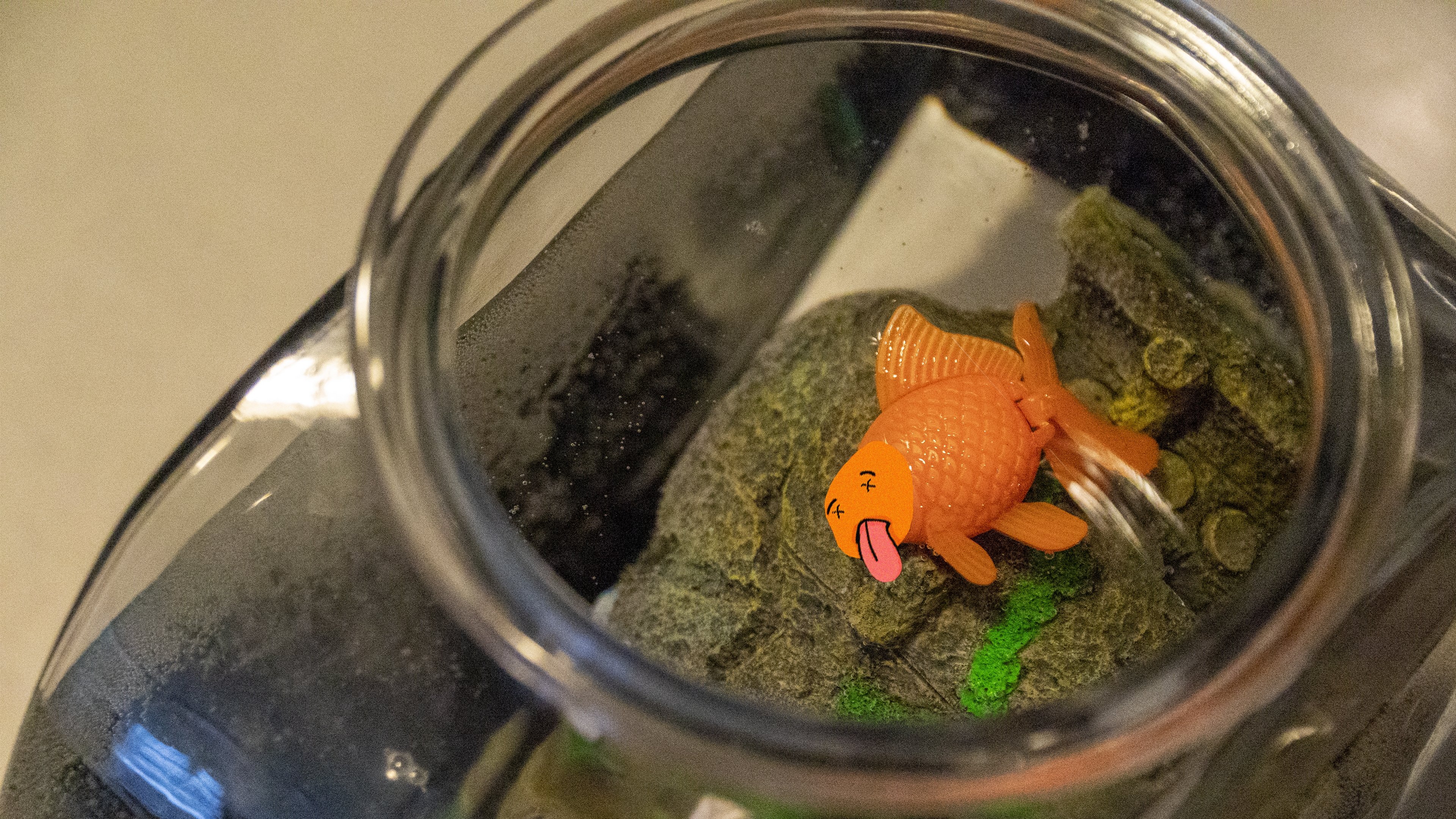 Death of a Goldfish