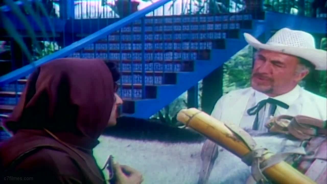 Robin Hood, O Trapalhão da Floresta