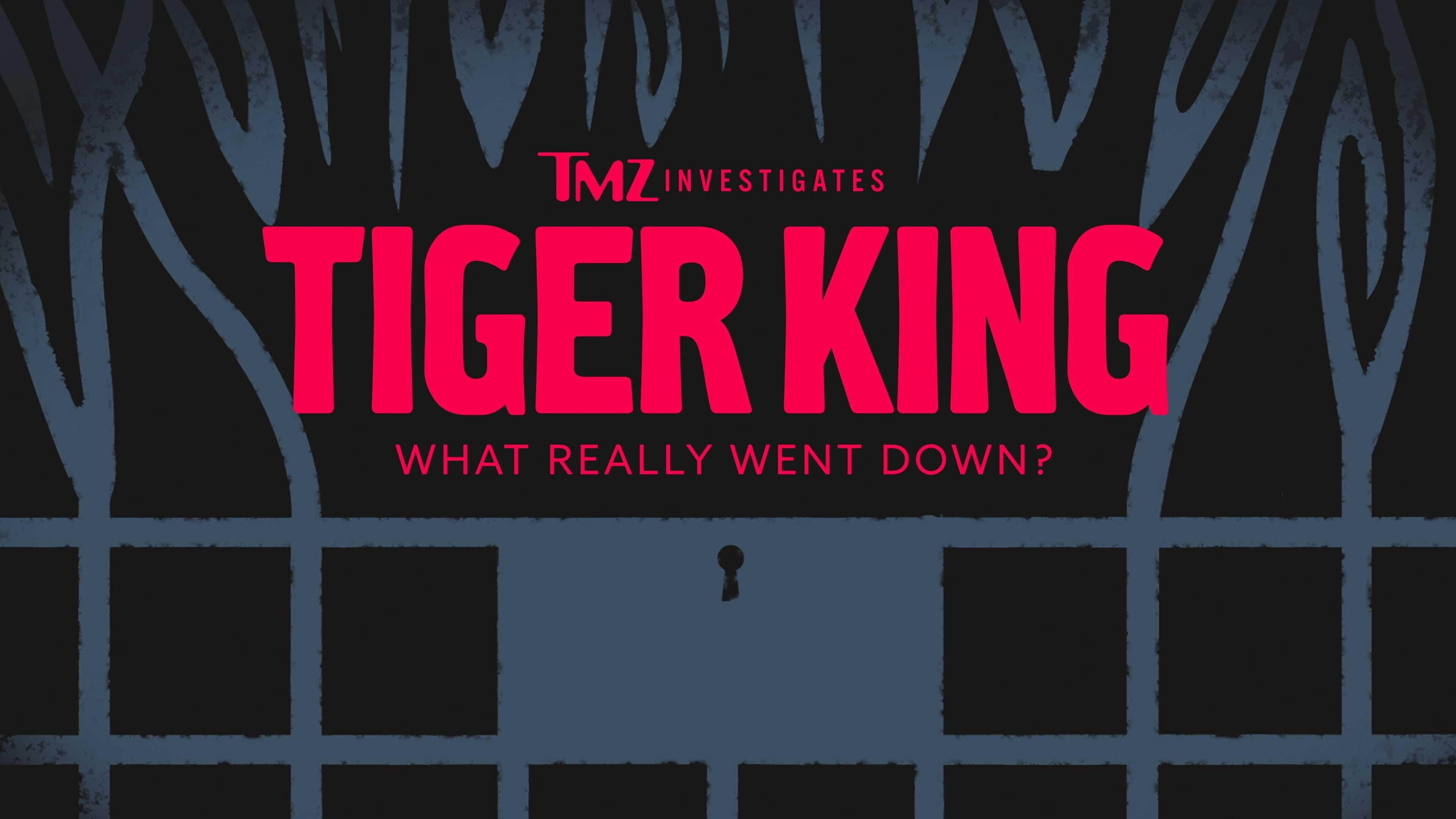 TMZ Investigates: Tiger King - What Really Went Down (2020)