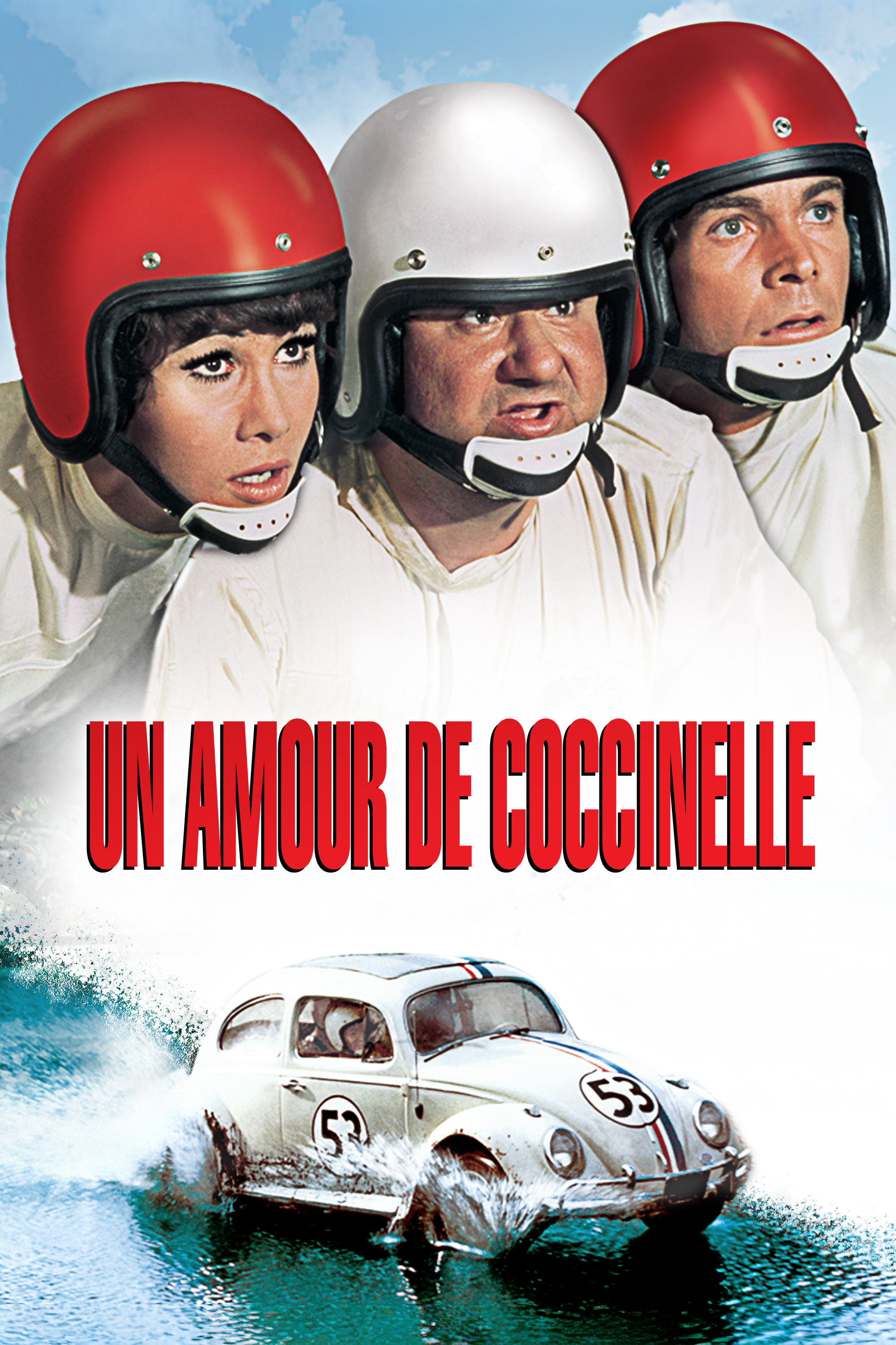 UN AMOUR DE COCCINELLE