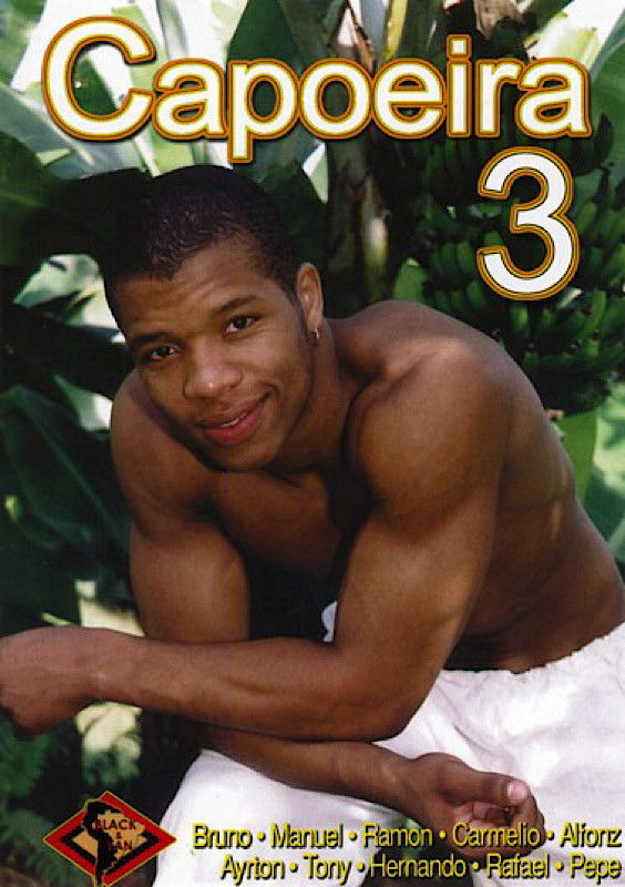 Capoeira 3 (2003) movie poster