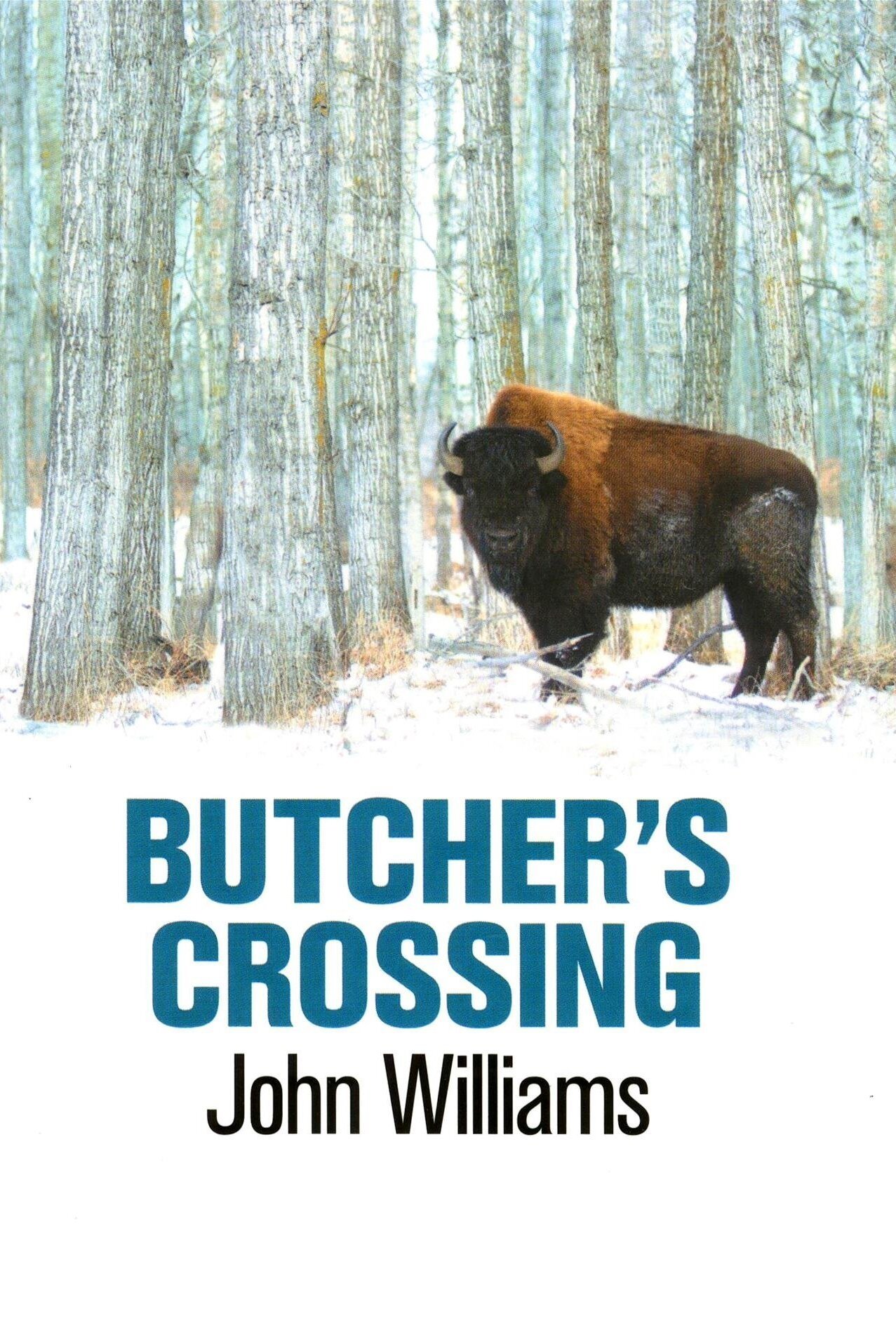 Butcher's Crossing Movie poster