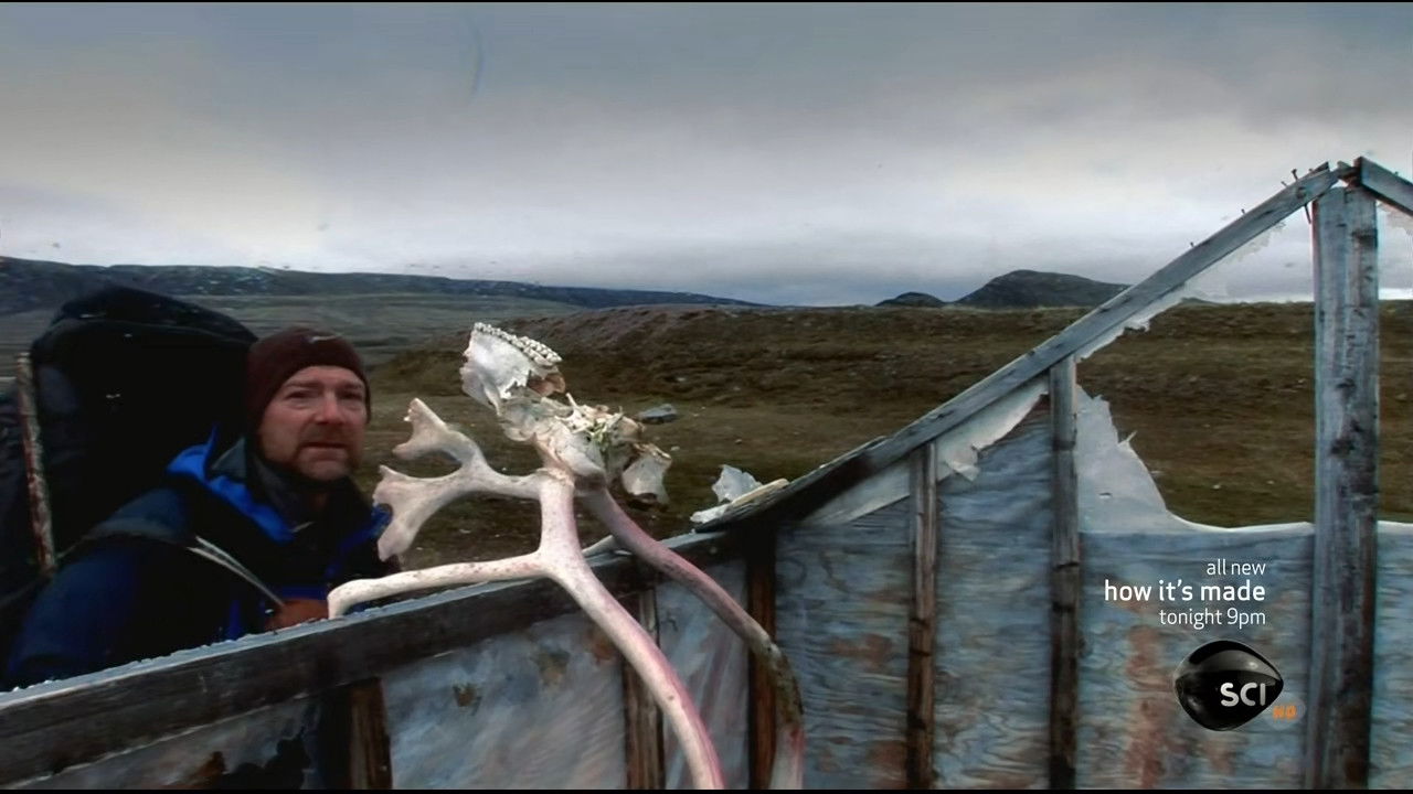 Arctic Tundra still