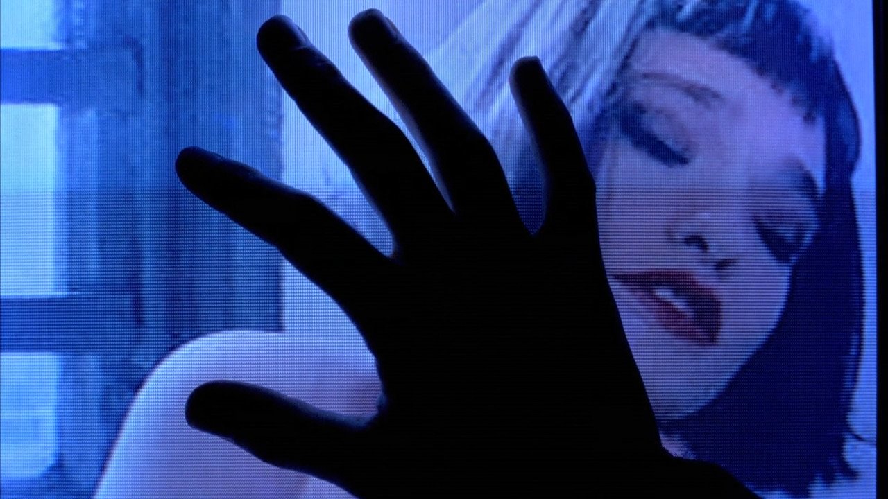 Amateur (1994)