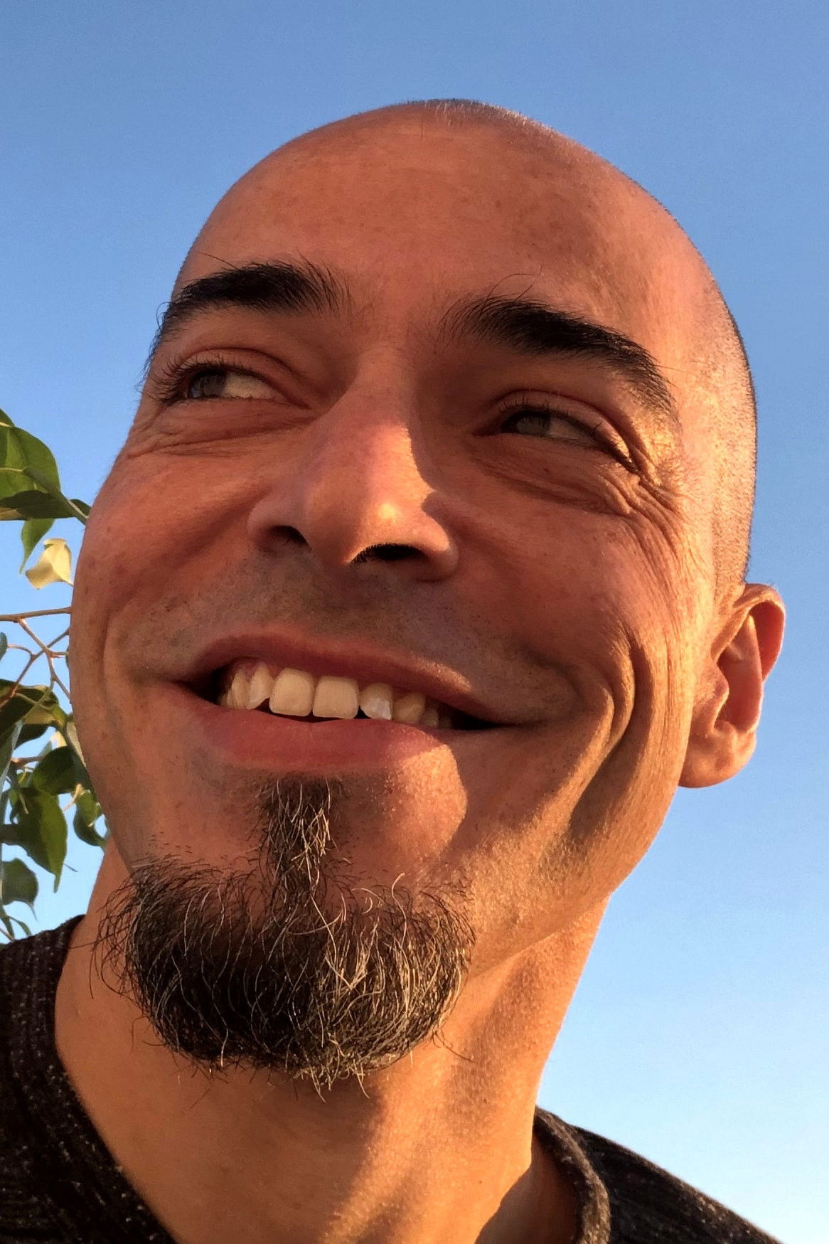 et billede af João Alves