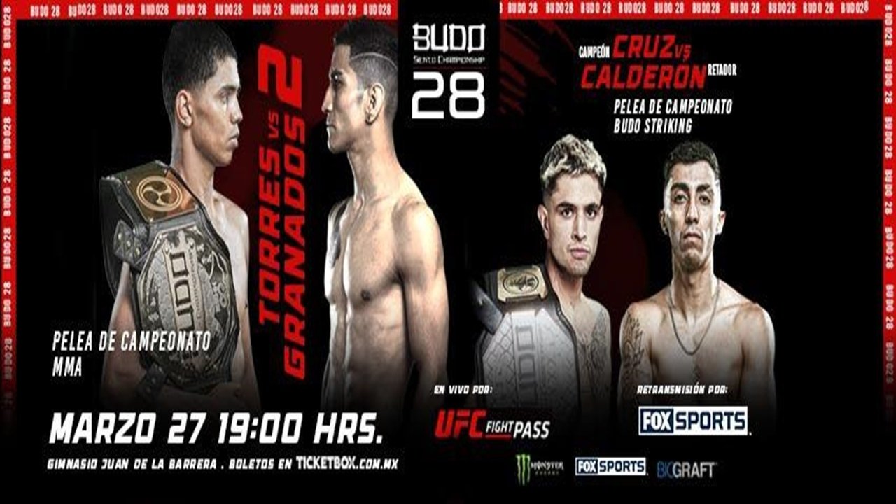 Imagem do Filme Budo Sento Championship 28