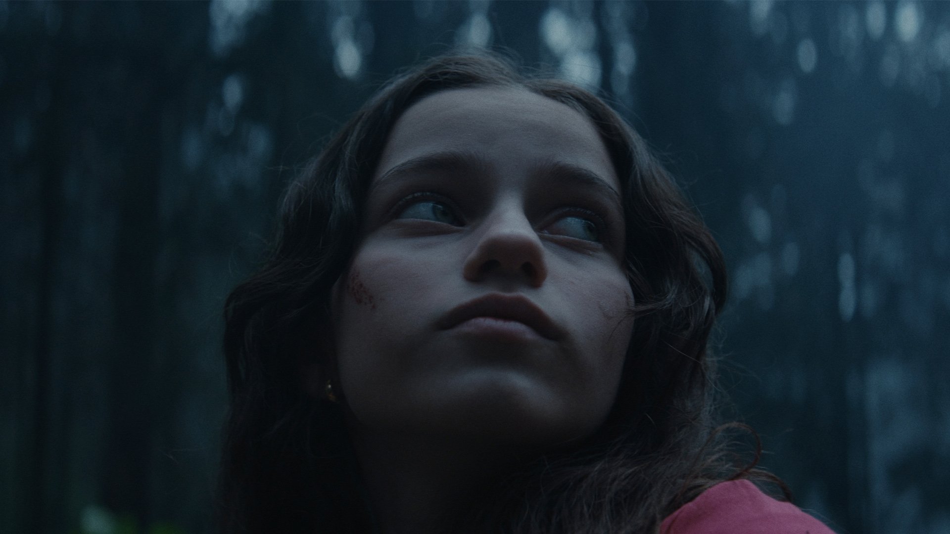 Vioma (2024)