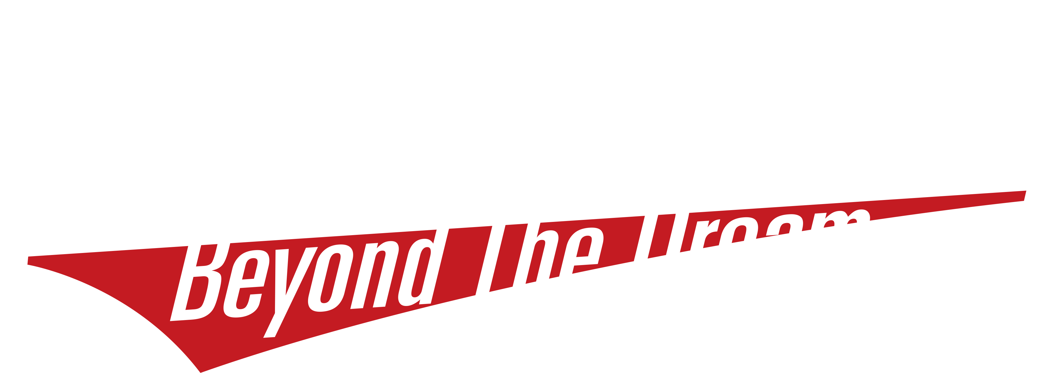 Shohei Ohtani: Beyond the Dream Logo
