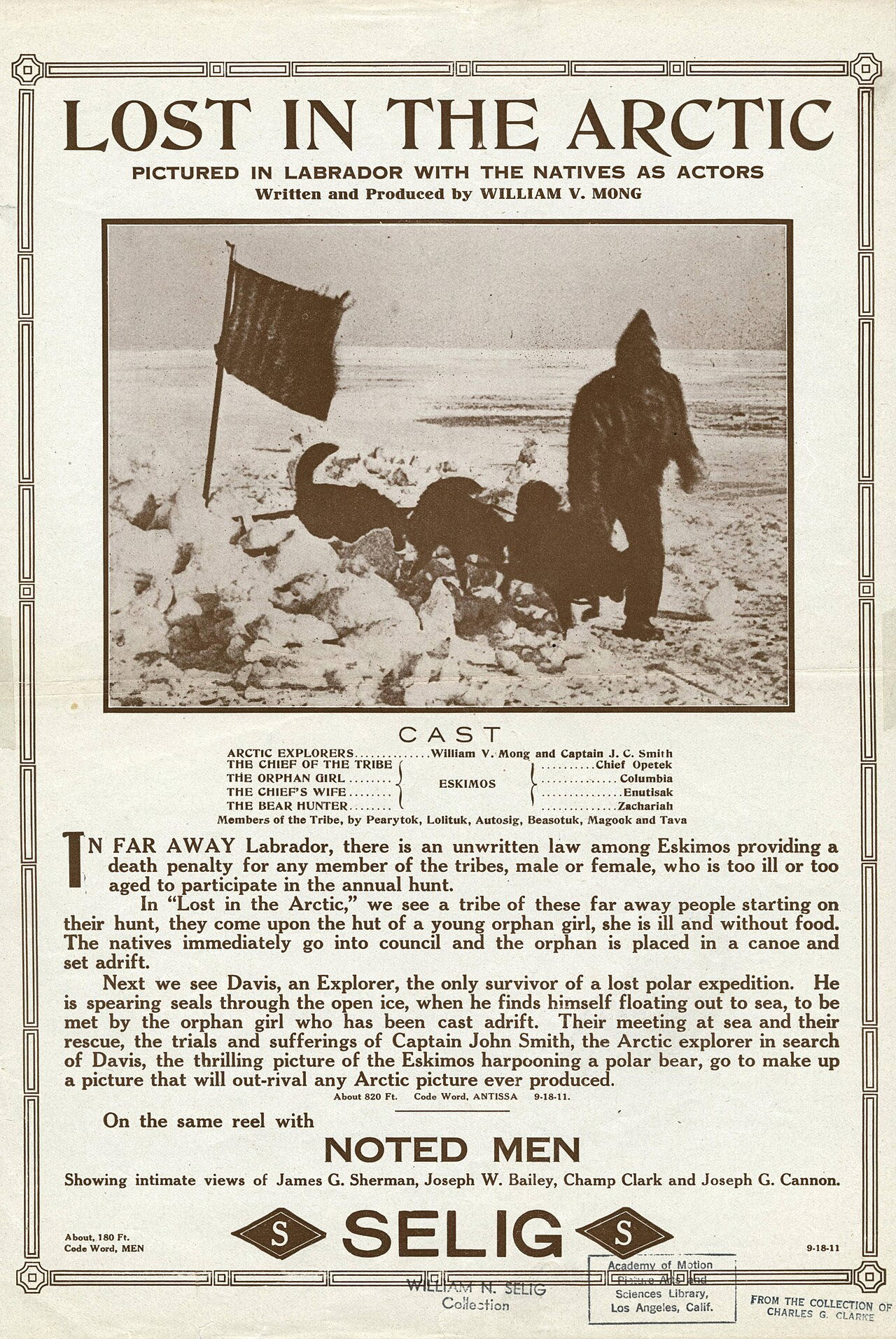 Lost In The Arctic