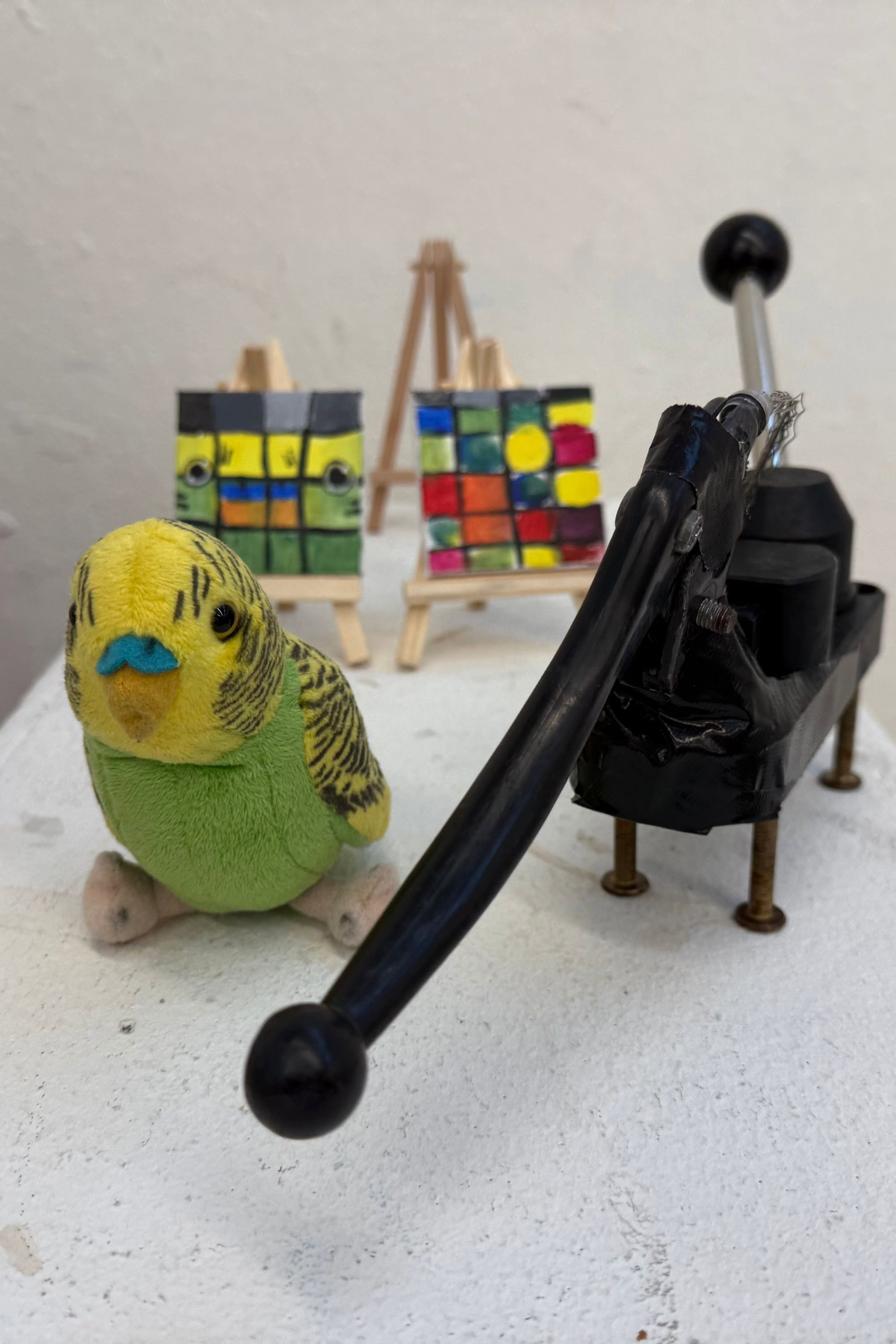 remco fotoğraf 3