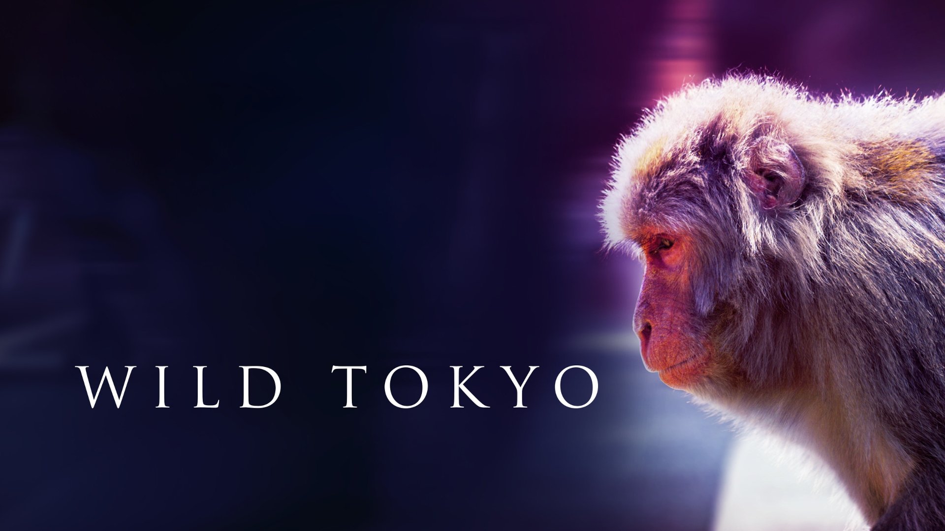 Wild Tokyo