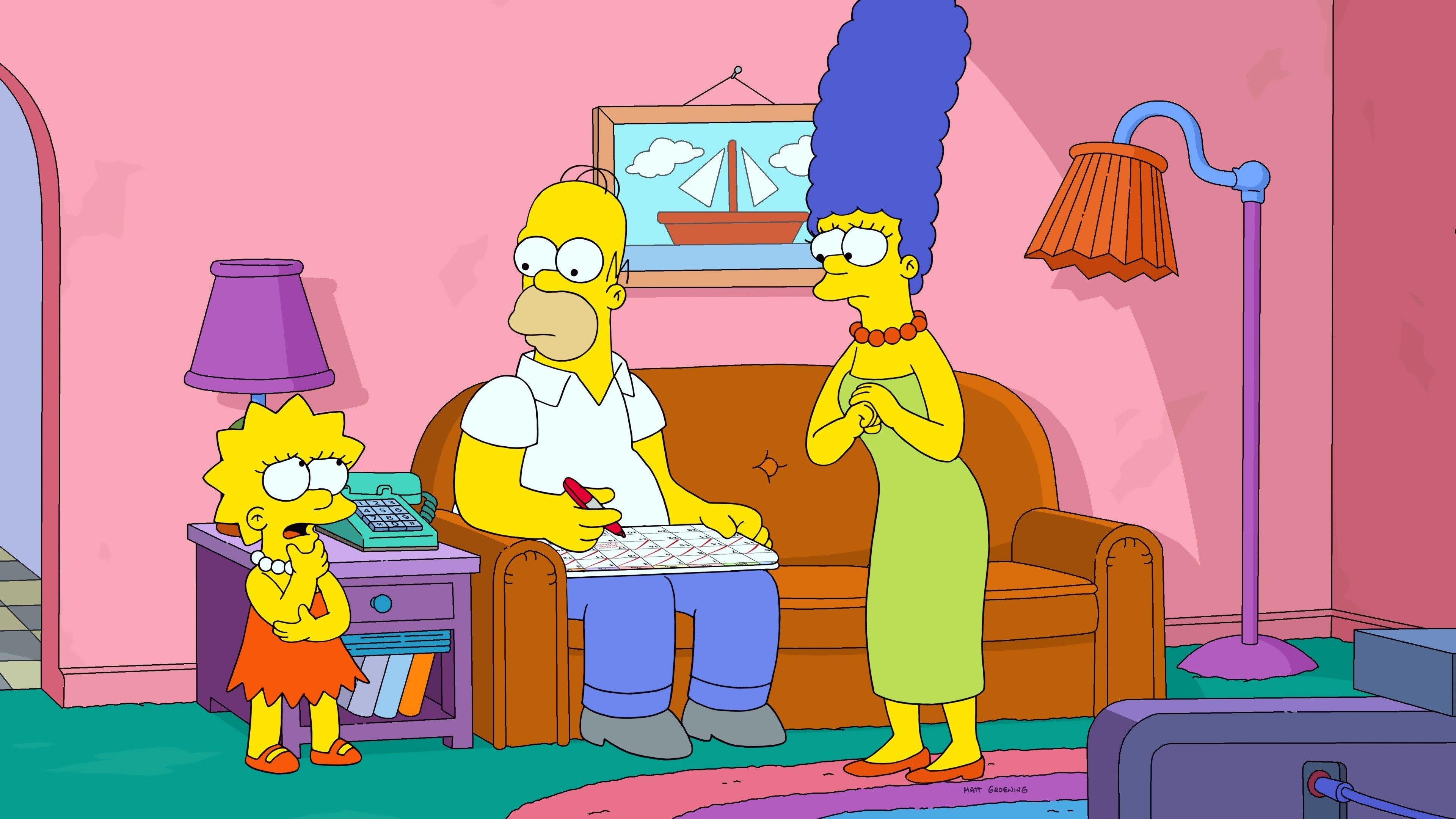 Los Simpson 30x15