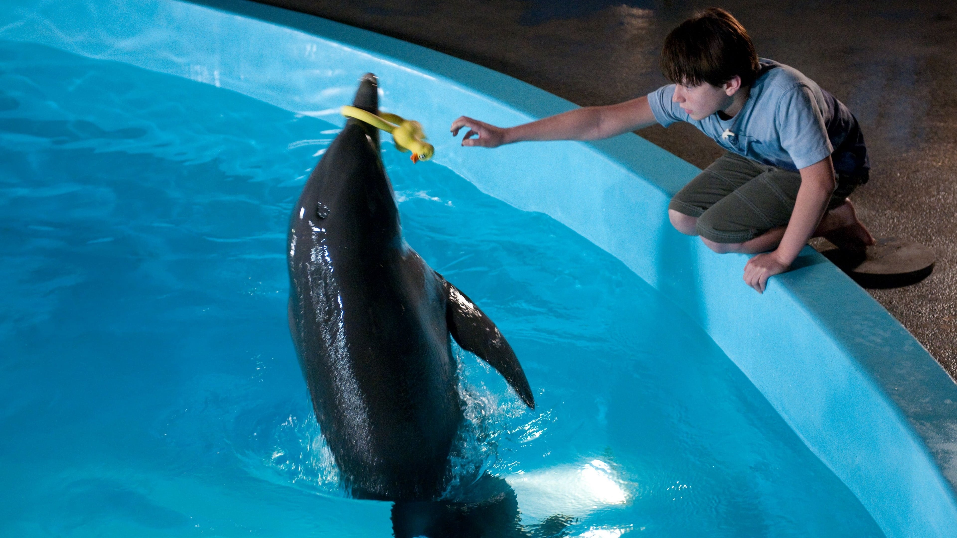 Уинтър: Историята на един делфин