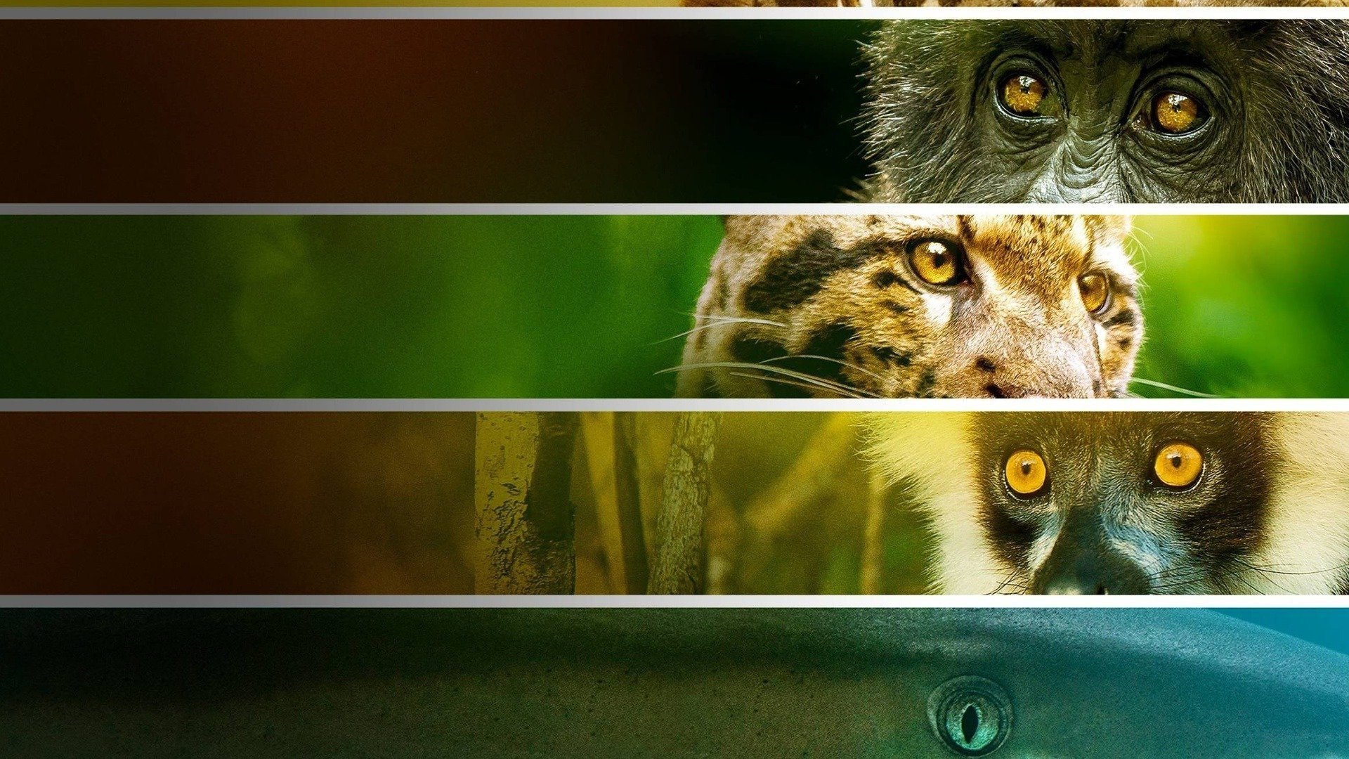 Endangered (2021)