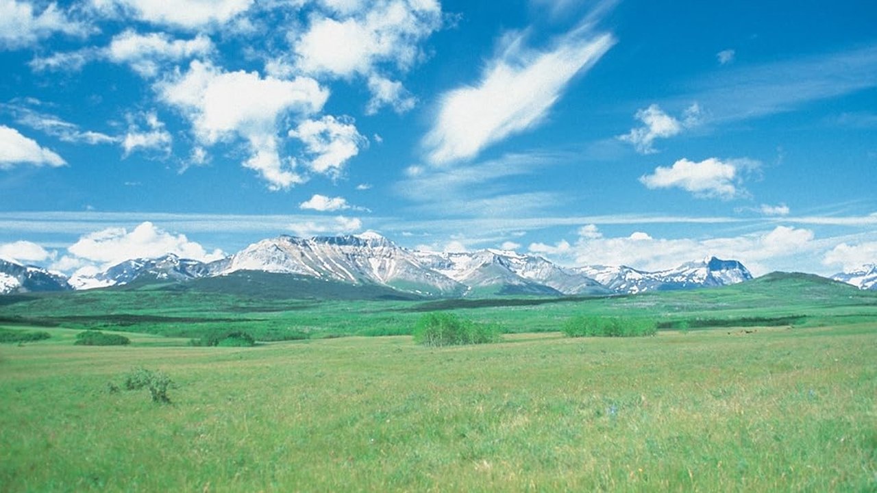 Imagem do Filme Wind, Grass, and Sky: A Passion for Prairie